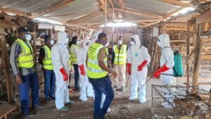 Ouagadougou : La DGSV désinfecte les marchés de volaille pour des fêtes sécurisées